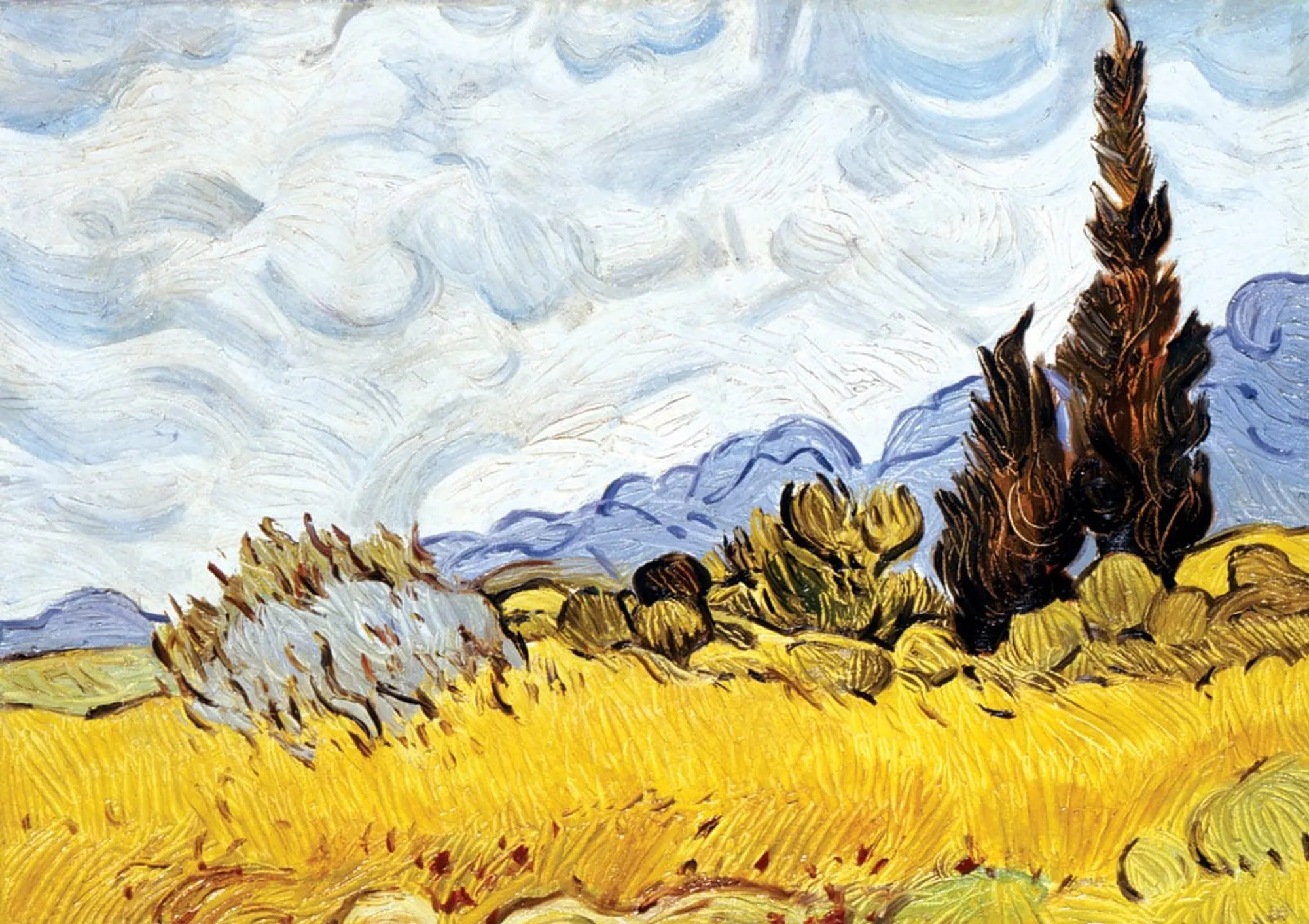 Copia d'arte dipinta da Andrea Del Pesco: Campo di grano con cipressi (originale di Vincent VAN GOGH)