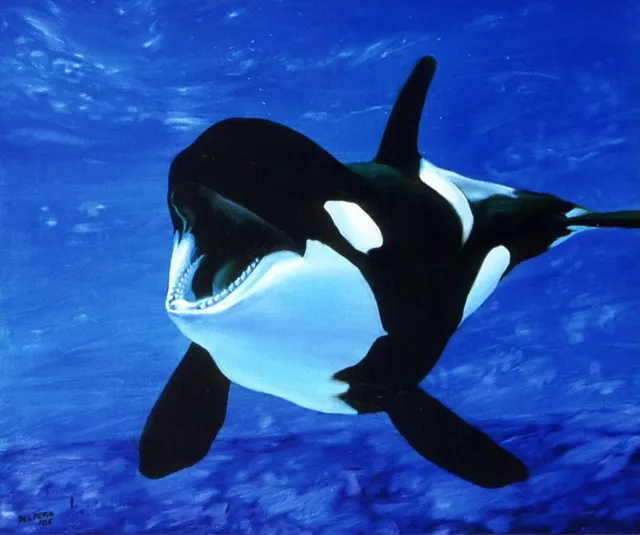 Dipinto di Andrea Del Pesco: ORCA — olio su tela