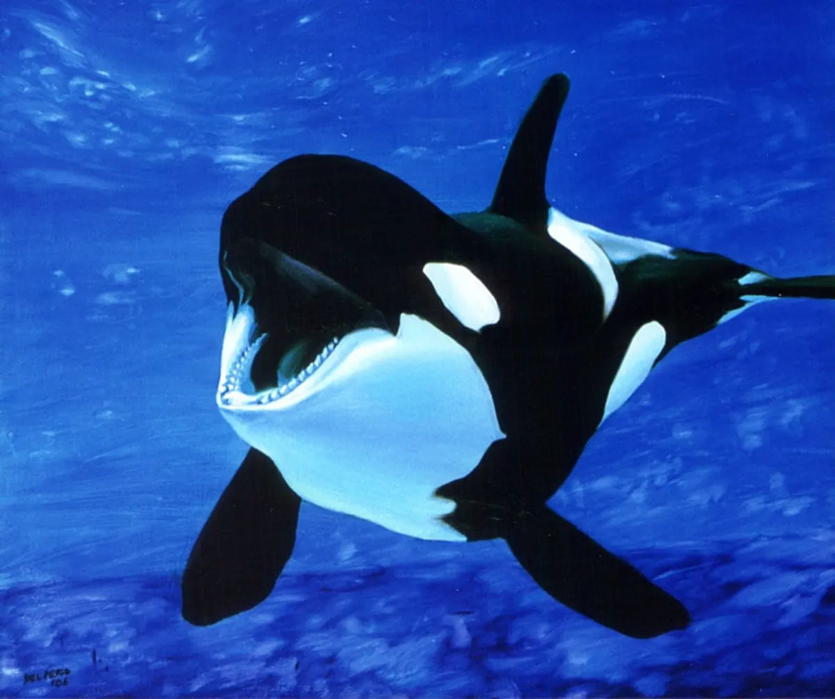 Dipinto di Andrea Del Pesco: ORCA — olio su tela