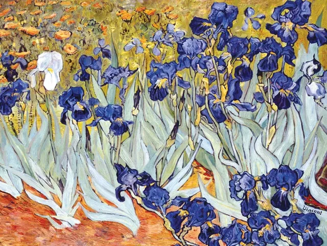 Copia d'arte dipinta da Andrea Del Pesco: Plantes d'Iris (originale di Vincent VAN GOGH)