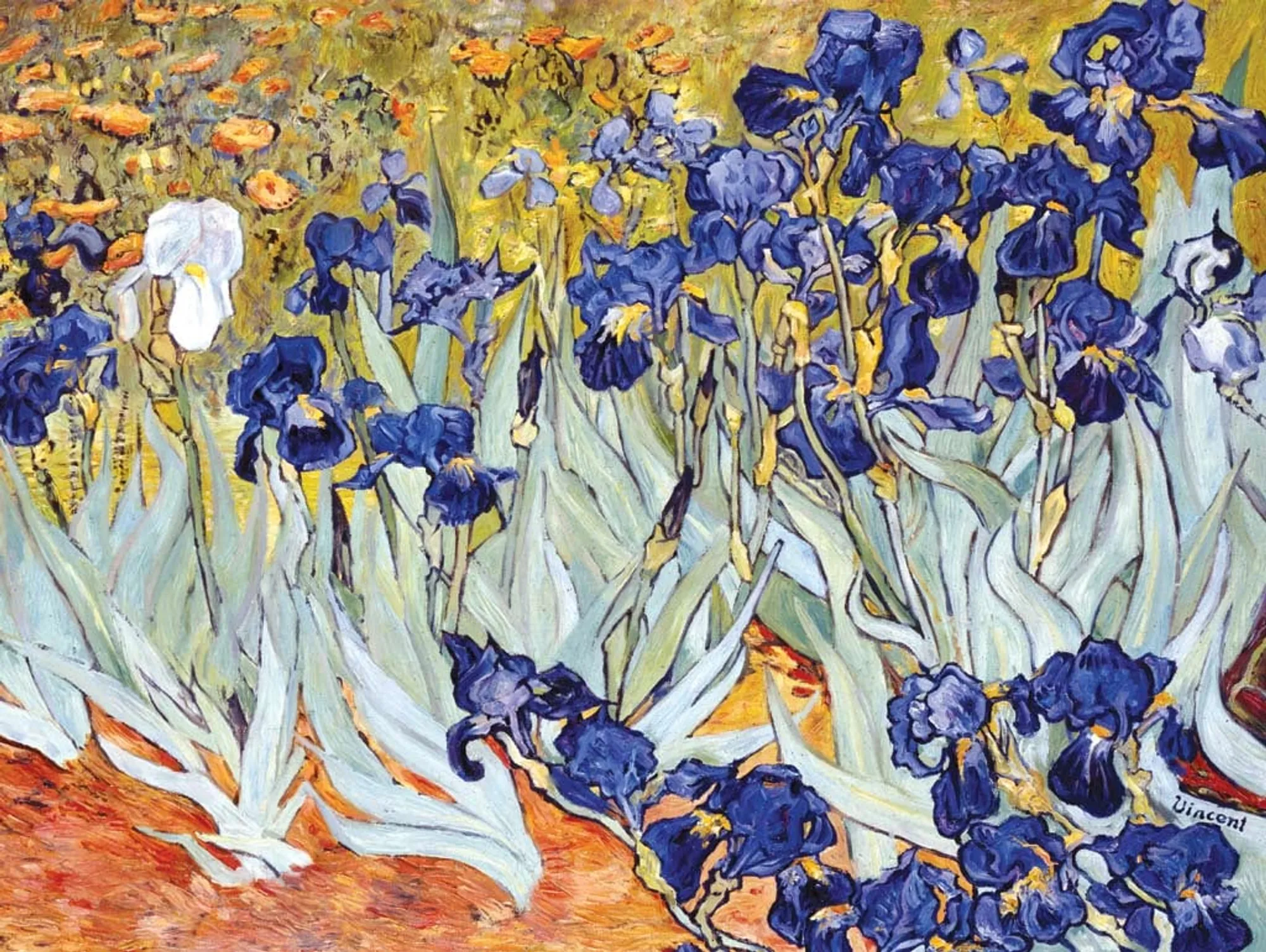 Copia d'arte dipinta da Andrea Del Pesco: Plantes d'Iris (originale di Vincent VAN GOGH)