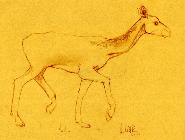 Dipinto di Andrea Del Pesco: STUDIO PER CERBIATTO — Matita sanguigna su carta da spolvero