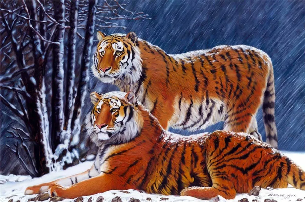 Dipinto di Andrea Del Pesco: TIGRI SIBERIANE — olio su tela
